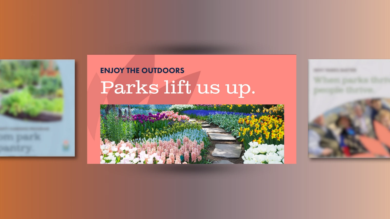 Charleston Parks Google Display Ad