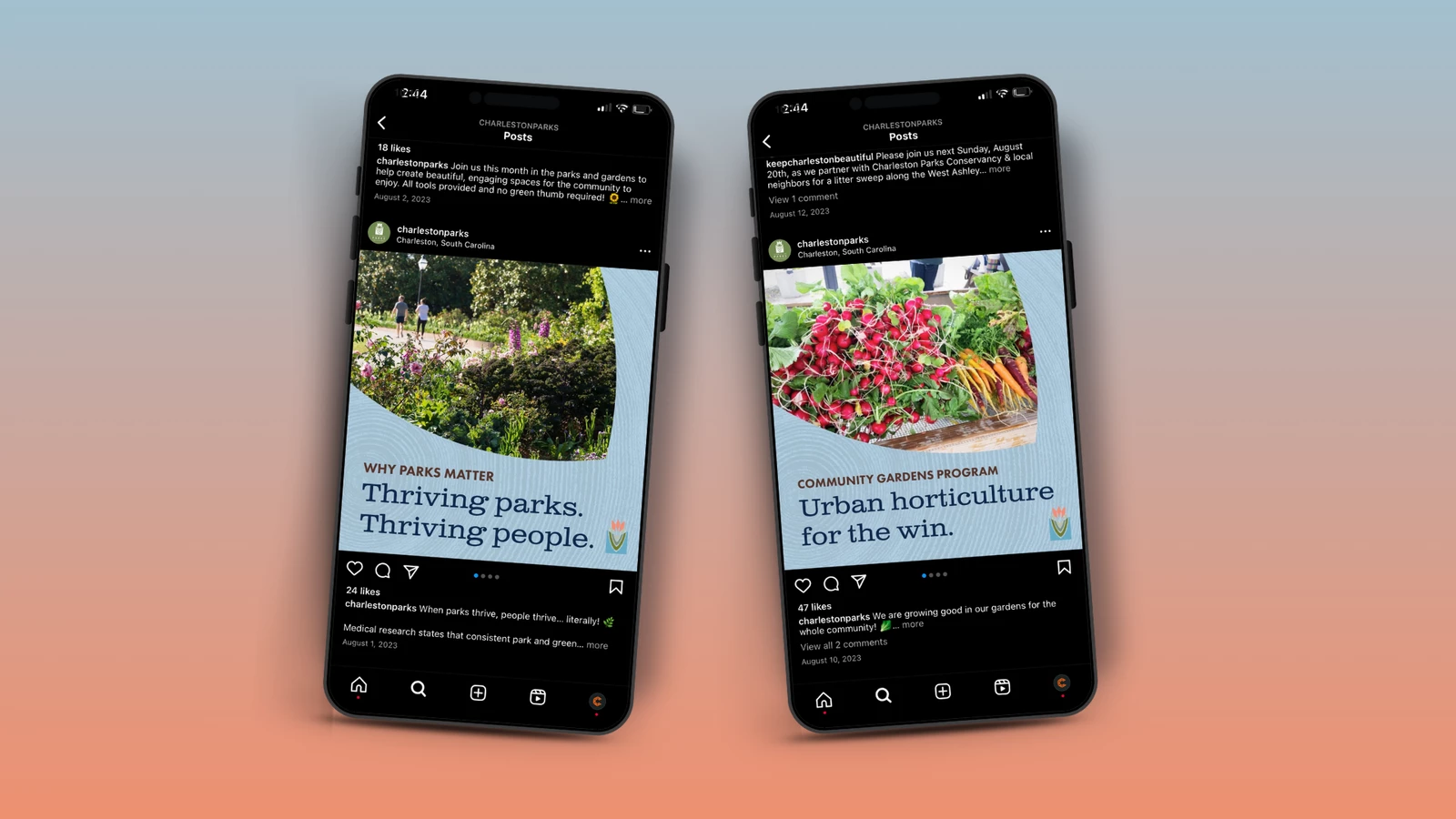 Charleston Parks Meta Ads 